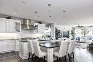 Sonance Ceiling Speakers